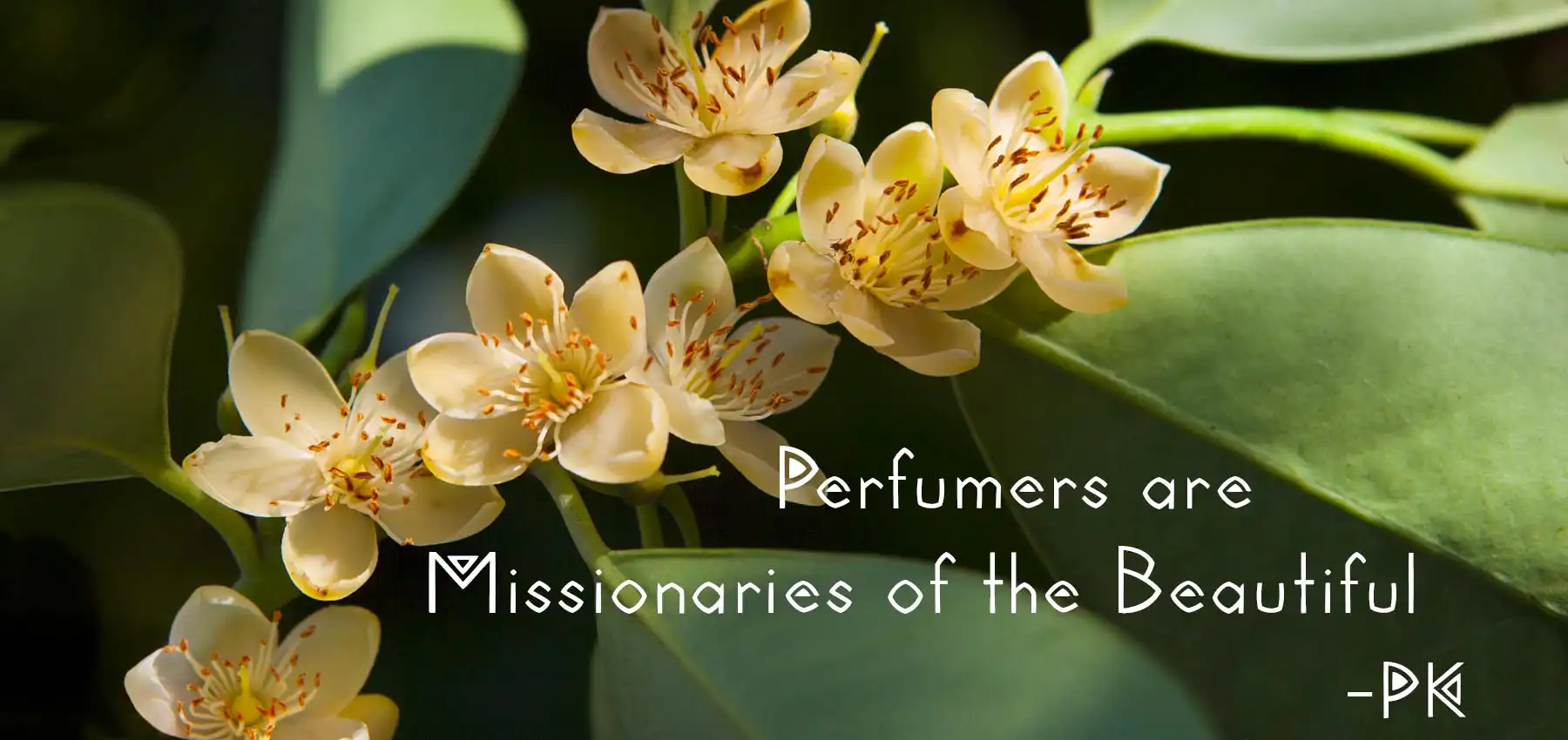 10-perfumers are missionaries of the beautiful 3