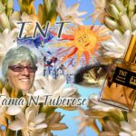 TNT - Tama N Tuberose
